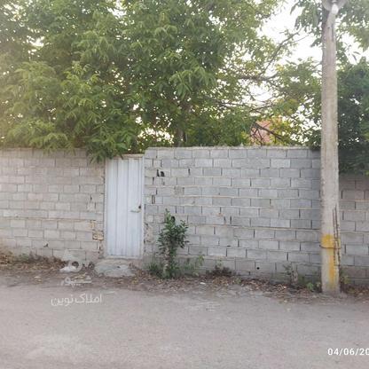 فروش زمین مسکونی 196 متر در کوچکسرا در گروه خرید و فروش املاک در مازندران در شیپور-عکس1