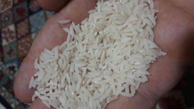 خریدار برنج در گروه خرید و فروش خدمات و کسب و کار در گیلان در شیپور-عکس1