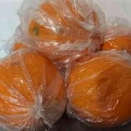 فروش پرتقال تامسون نایلونی