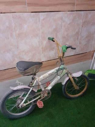 دوچرخه سالم در گروه خرید و فروش ورزش فرهنگ فراغت در اصفهان در شیپور-عکس1