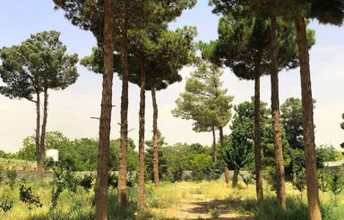 مهرشهر باغ ویلا 5000 متری ششدانگ تکبرگ دارای مجوز ساخت