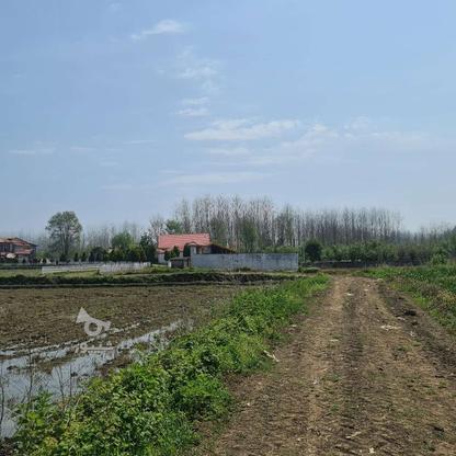 2020 متر زمین کشاورزی در بهترین لوکیشن در گروه خرید و فروش املاک در گیلان در شیپور-عکس1