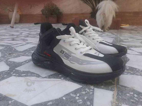 کفش جردن پاینو خوب بخونید لطفا در گروه خرید و فروش لوازم شخصی در مازندران در شیپور-عکس1