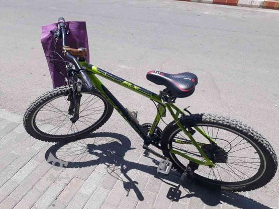دوچرخه توسان در گروه خرید و فروش ورزش فرهنگ فراغت در خراسان رضوی در شیپور-عکس1