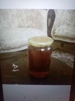 عسل طبیعی یک و نیم ساکاروز در گروه خرید و فروش خدمات و کسب و کار در تهران در شیپور-عکس1