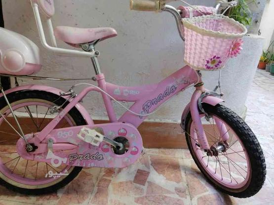 دوچرخه دخترانه مناسب تا 9 سال در گروه خرید و فروش ورزش فرهنگ فراغت در گیلان در شیپور-عکس1