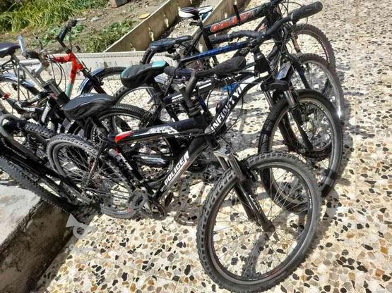 فروش انواع دوچرخه دنده ای وساده سایزهای 12و 16و 20و26 در گروه خرید و فروش خدمات و کسب و کار در مازندران در شیپور-عکس1