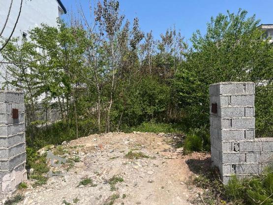 فروش زمین مسکونی 300 متر در لتینگان در گروه خرید و فروش املاک در مازندران در شیپور-عکس1