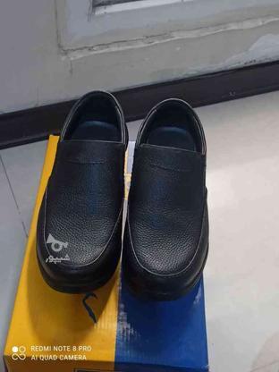 کفش چرم طبی مردانه در گروه خرید و فروش لوازم شخصی در البرز در شیپور-عکس1