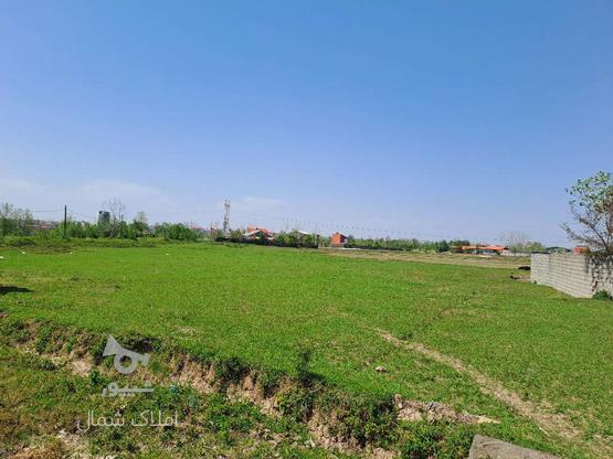 فروش زمین باغی 500 متر در کوچصفهان رشت در گروه خرید و فروش املاک در گیلان در شیپور-عکس1