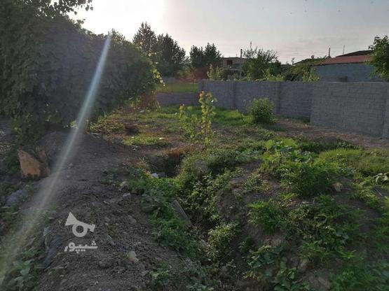 فروش زمین مسکونی در گروه خرید و فروش املاک در مازندران در شیپور-عکس1
