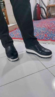 کفش چرم سایز 38 در گروه خرید و فروش لوازم شخصی در مازندران در شیپور-عکس1