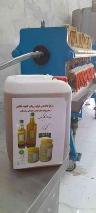 تولید روغن کنجد خالص تصفیه شده آنالیز آزمایشگاه کیفیت تضمینی در گروه خرید و فروش خدمات و کسب و کار در تهران در شیپور-عکس1