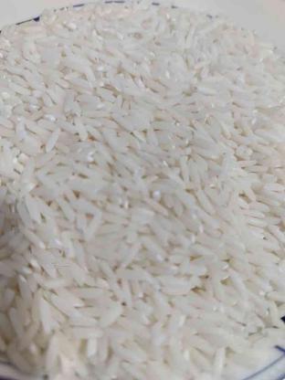 برنج بهنام کشت دوم در گروه خرید و فروش خدمات و کسب و کار در مازندران در شیپور-عکس1