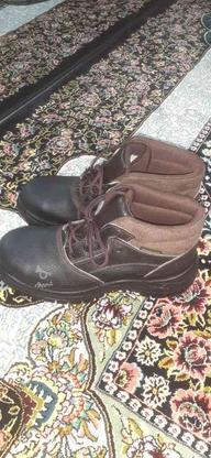 کفش کار پنجه فلز در گروه خرید و فروش لوازم شخصی در زنجان در شیپور-عکس1