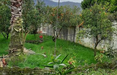 باغ ، ویلا نشتارود مازندران 1000 متر