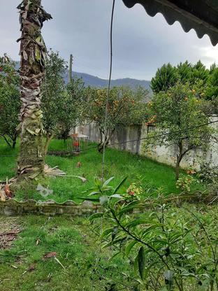 باغ ، ویلا نشتارود مازندران 1000 متر در گروه خرید و فروش املاک در مازندران در شیپور-عکس1