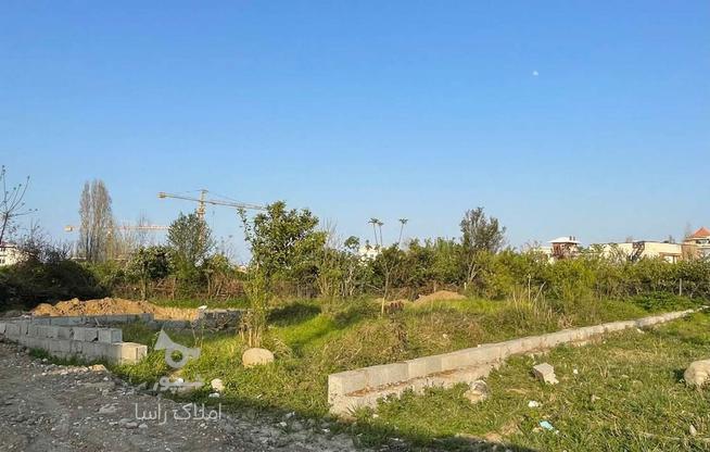 260متر زمین مسکونی بلوار طالقانی رامسر  در گروه خرید و فروش املاک در مازندران در شیپور-عکس1