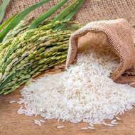 بازرگانی برنج طبرستان