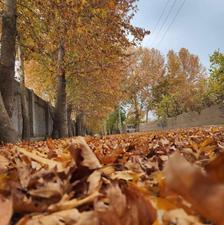 1000متر باغ سند تک برگ با نامه جهاد و شهرداری در شهریار