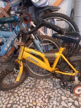 دوتا دوچرخه جنشون عالیه در گروه خرید و فروش ورزش فرهنگ فراغت در مازندران در شیپور-عکس1