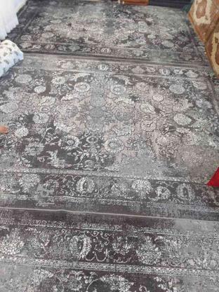 3 تا گلیم فرش در حد نوو هرکدام 6 متری در گروه خرید و فروش لوازم خانگی در مازندران در شیپور-عکس1