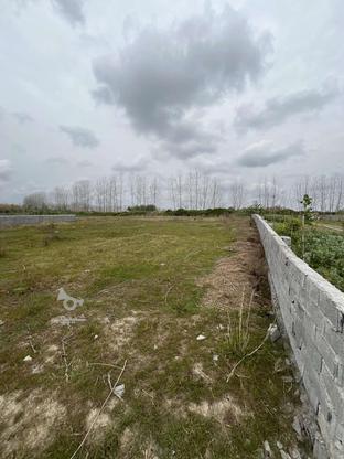 فروش زمین 510متر زمین شهری در گروه خرید و فروش املاک در مازندران در شیپور-عکس1