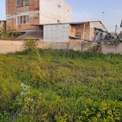 فروش زمین مسکونی 200 متر در روستای قادیکلای بزرگ با سند در گروه خرید و فروش املاک در مازندران در شیپور-عکس1