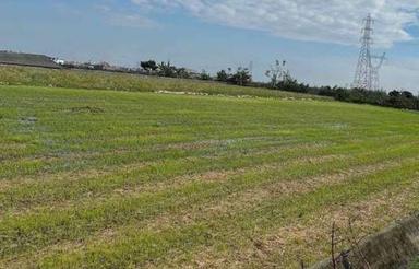 فروش زمین کشاورزی 3000 متر در سورک