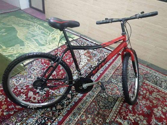 دوچرخه 26 تنه سبک وزیبا ویوا در گروه خرید و فروش ورزش فرهنگ فراغت در همدان در شیپور-عکس1