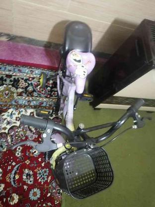 دوچرخه 12 سالم در گروه خرید و فروش ورزش فرهنگ فراغت در همدان در شیپور-عکس1