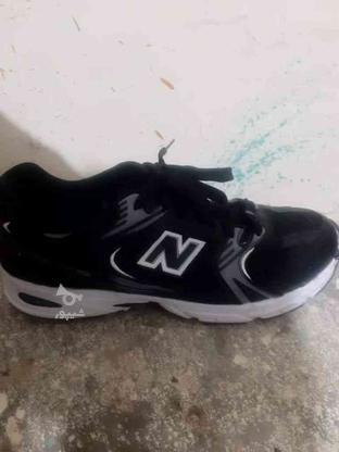 کفش نیوبالانس در گروه خرید و فروش لوازم شخصی در مازندران در شیپور-عکس1