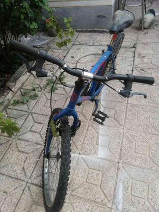 دوچرخه سالم بدون دنده در گروه خرید و فروش ورزش فرهنگ فراغت در آذربایجان شرقی در شیپور-عکس1