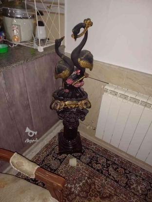 مجسمه قو مشکی طلایی در گروه خرید و فروش لوازم خانگی در اصفهان در شیپور-عکس1