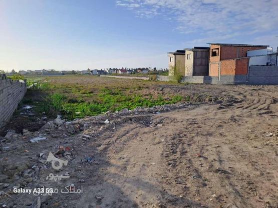 فروش زمین مسکونی 200 متر در مرکز شهر در گروه خرید و فروش املاک در مازندران در شیپور-عکس1
