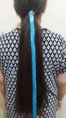 فروش موی طبیعی وبدون رنگ...باحجم بالا در گروه خرید و فروش لوازم شخصی در البرز در شیپور-عکس1