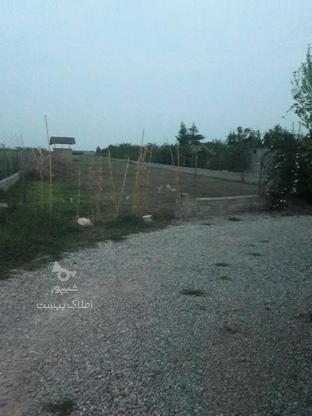 فروش زمین کشاورزی محدوده جویبار_کوهخیل سنددار 2500 متر در گروه خرید و فروش املاک در مازندران در شیپور-عکس1