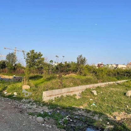 فروش زمین مسکونی 260 متر در بلوار طالقانی رامسر در گروه خرید و فروش املاک در مازندران در شیپور-عکس1