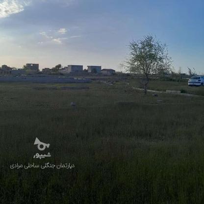 250متر زمین سنددارد با شرایط نقد و اقساط در گروه خرید و فروش املاک در مازندران در شیپور-عکس1