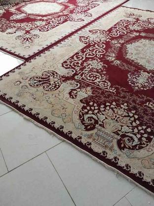 تمام فرش ها در حد نو یک ماه خریدم در گروه خرید و فروش لوازم خانگی در آذربایجان غربی در شیپور-عکس1