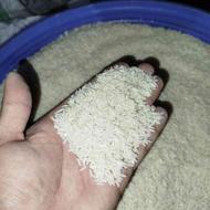 برنج طارم قیمت مناسب فقط امروز و فردا