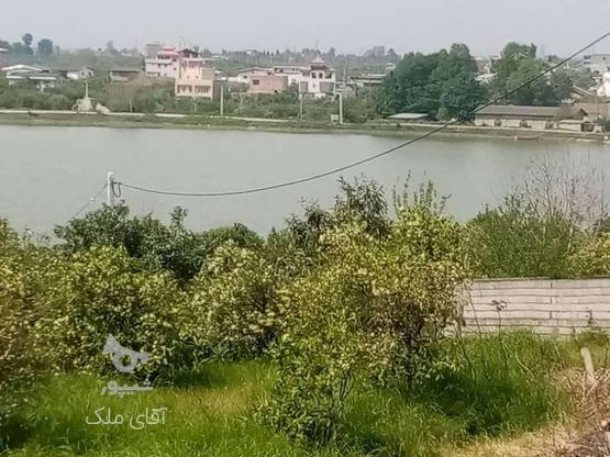 فروش زمین ویو ابدی دریاچه 364 متری جاده نظامی در گروه خرید و فروش املاک در مازندران در شیپور-عکس1