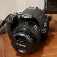 canon 250D + lens 50 mm f1.8