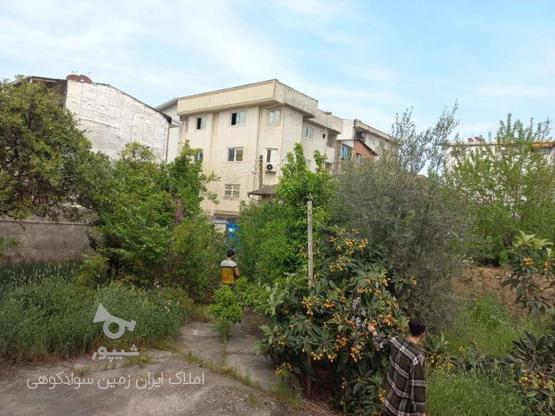 اجاره خونه باغ 1,400 متری در مرکزشهر در گروه خرید و فروش املاک در مازندران در شیپور-عکس1