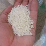 50 کیلو برنج کشت طارم هاشمی( نوج)