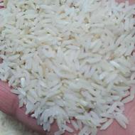 برنج طارم هاشمی اصل شمال