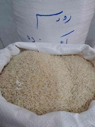 برنج هاشمی درجه یک گیلان(دو الکه) در گروه خرید و فروش خدمات و کسب و کار در مازندران در شیپور-عکس1