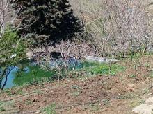 وردیج باغ میوه استخردار کنار رودخانه2150متر در شیپور