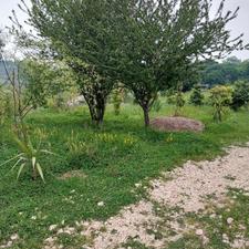 زمین 450 متری در تنگ لته