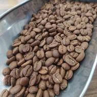 فروش عمده انواع دان قهوه